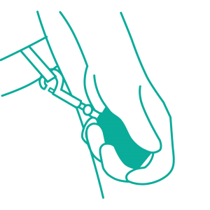 Staff Attack Alarm Fob