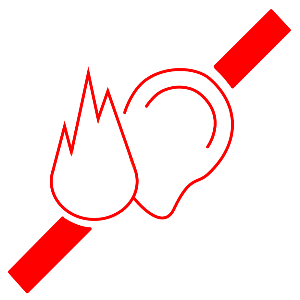 Deaf Fire Alarm Pager Deaf Alert Paging System GD Systems